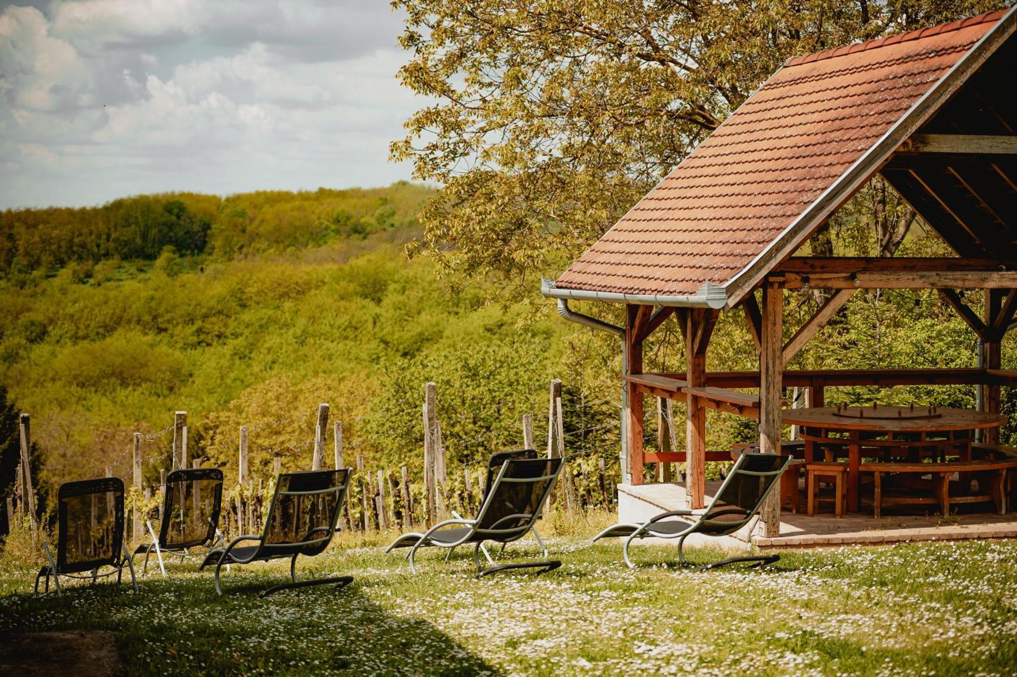 Foerhenc Wine House & Guesthouses I-Ii-Iii ナジカニジャ エクステリア 写真